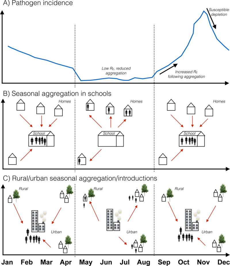 Seasonal Population Movements And The Surveillance And Control Of Infectious Diseases