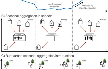 Seasonal Population Movements And The Surveillance And Control Of Infectious Diseases