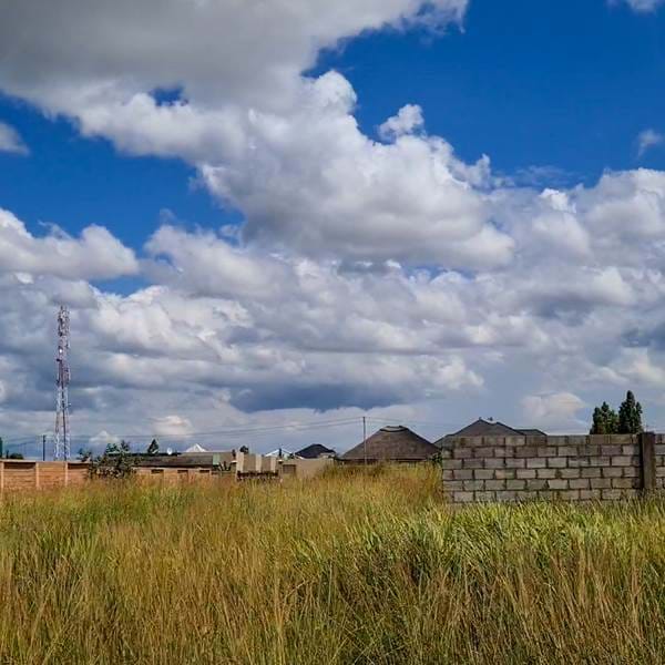 DSC 0322.00 01 09 17.Still003