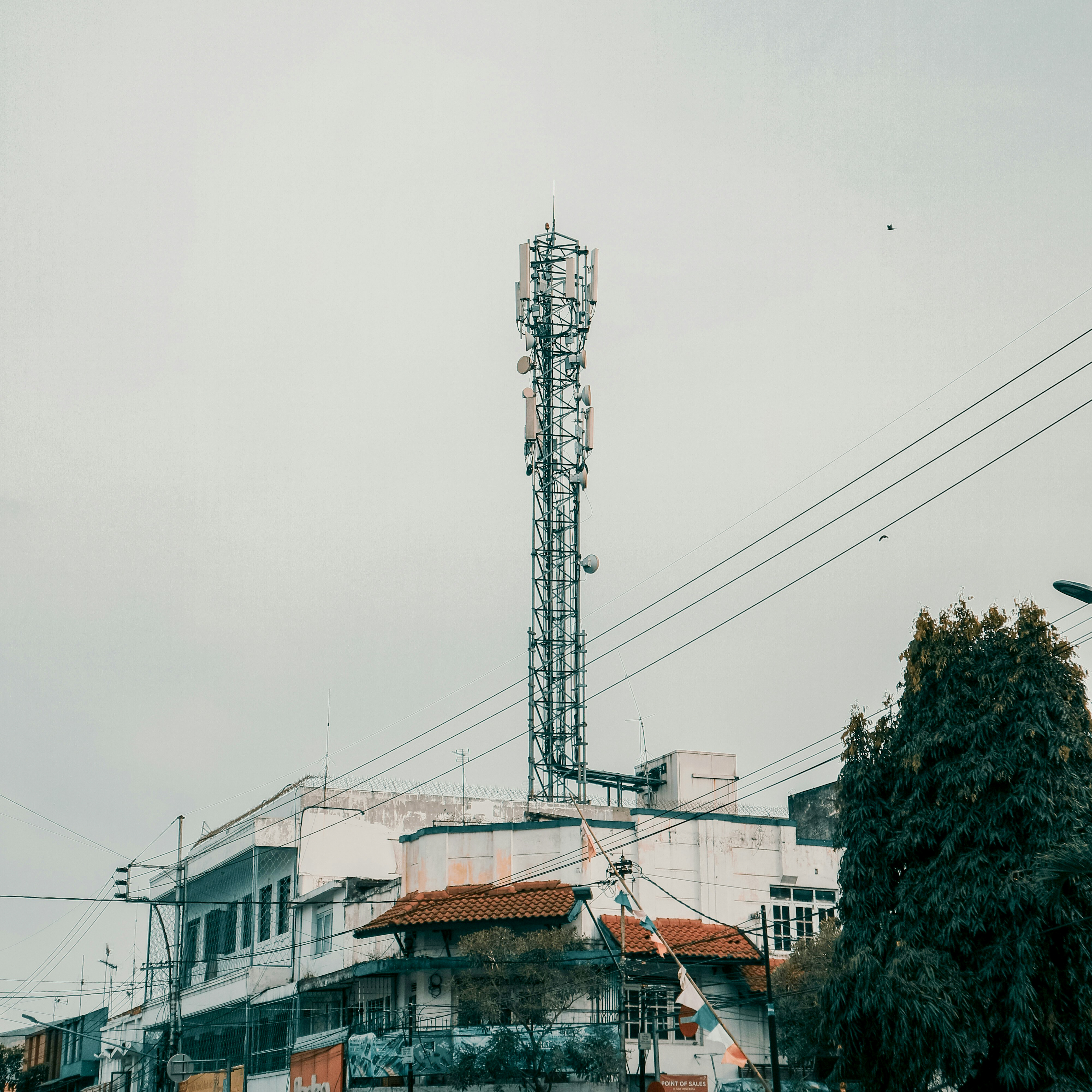 Resky Fernanda Bgez9nmwrze Unsplash 2