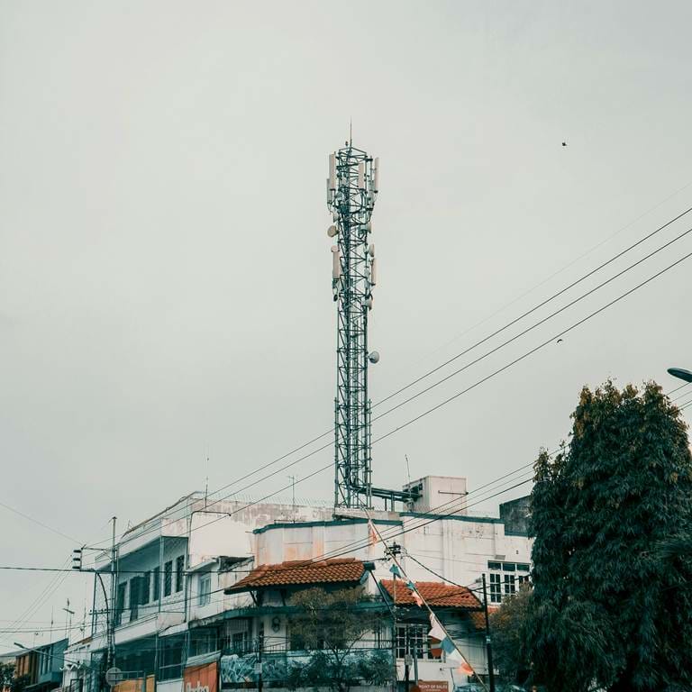 Resky Fernanda Bgez9nmwrze Unsplash 2