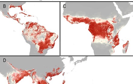Mapping Global Environmental Suitability For Zika Virus